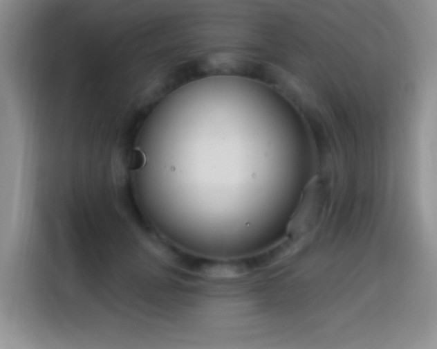 X0000113940751200910021302