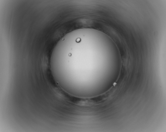 X0000113940752200910021302