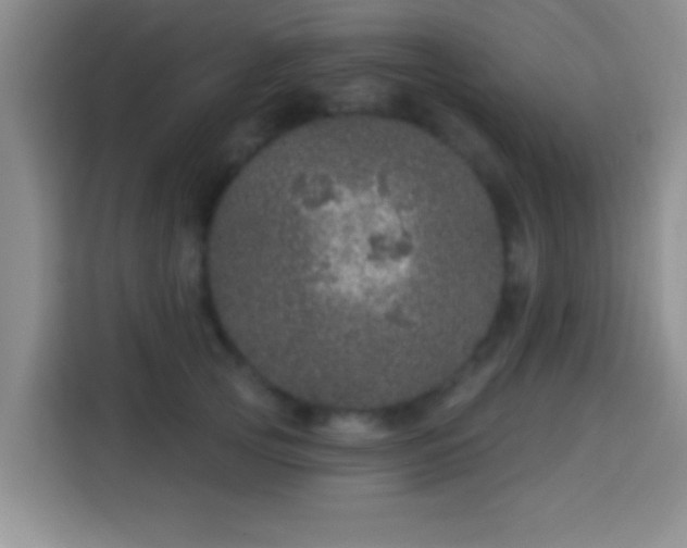 X0000113940753200910021302