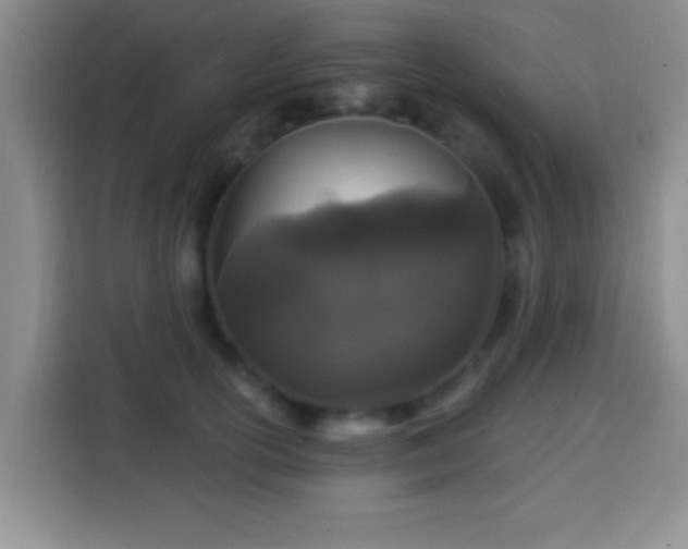 X0000113940754200910021302