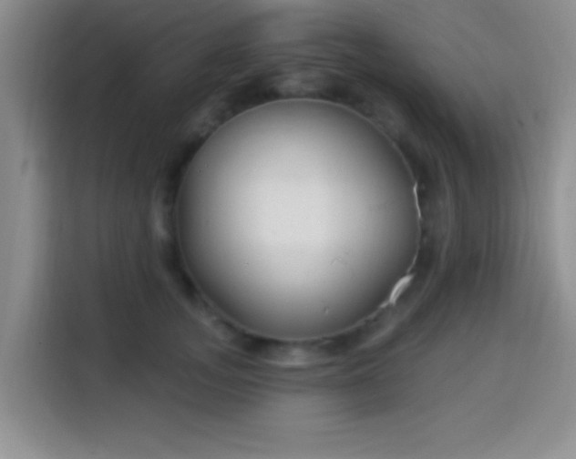 X0000113940755200910021302