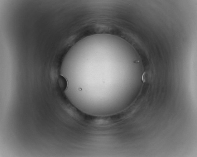 X0000113940756200910021302