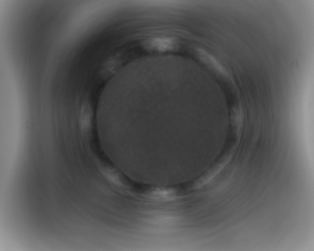 X0000113940760200910021302