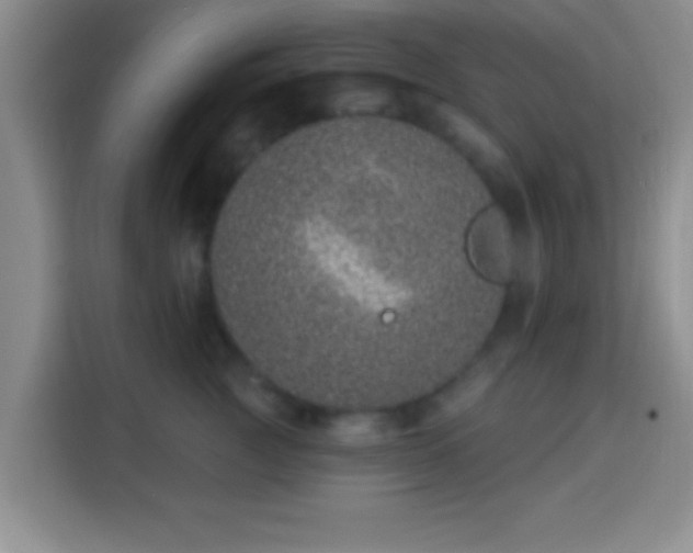 X0000113940761200910021302