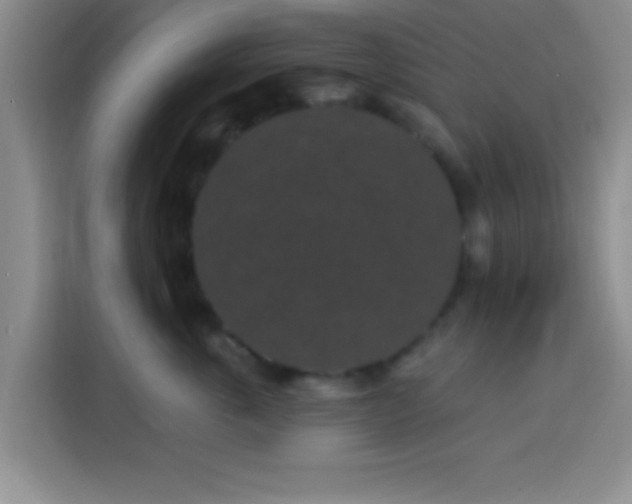 X0000113940763200910021302