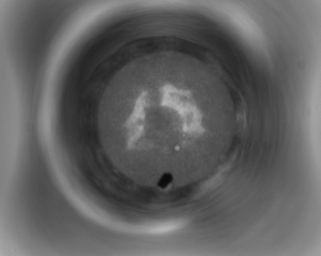 X0000113940765200910021302