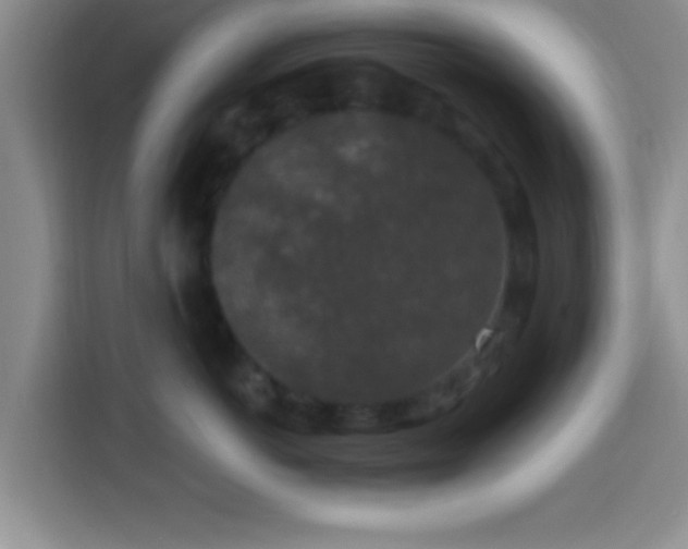 X0000113940766200910021302