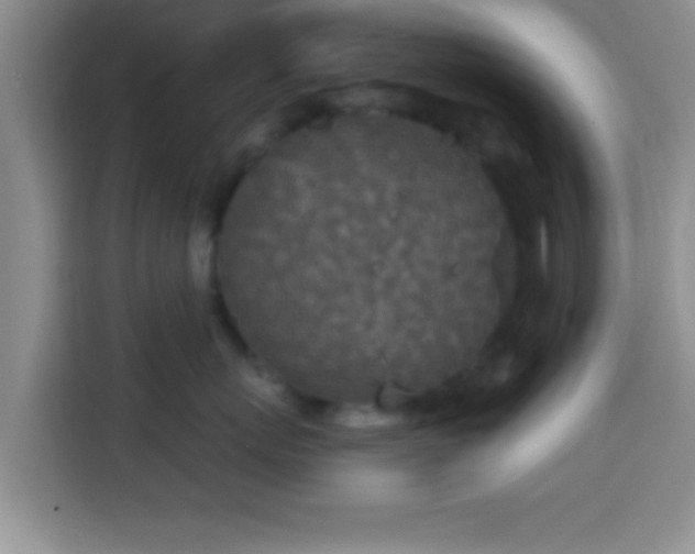 X0000113940767200910021302