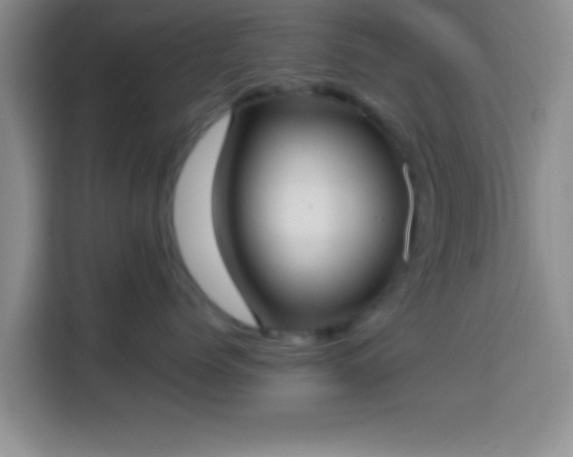 X0000113940768200910021302