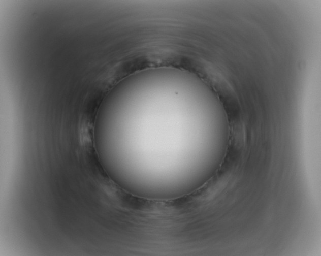 X0000113940770200910021302