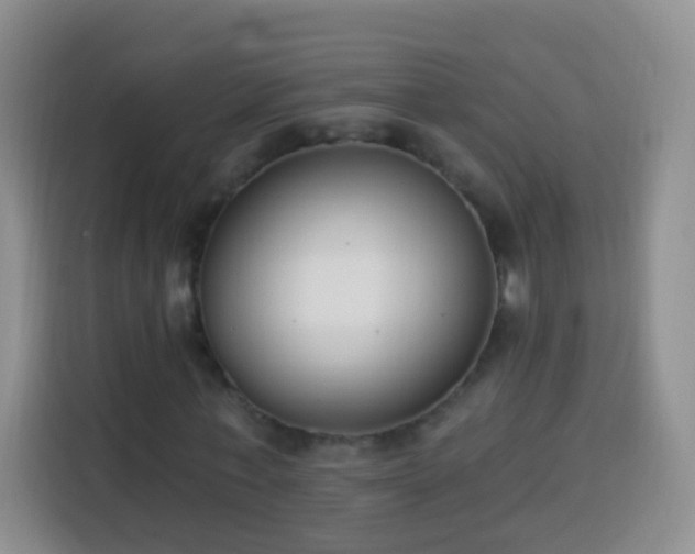 X0000113940771200910021302