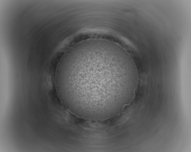 X0000113940774200910021302