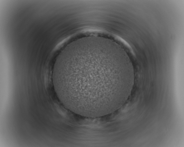 X0000113940775200910021302