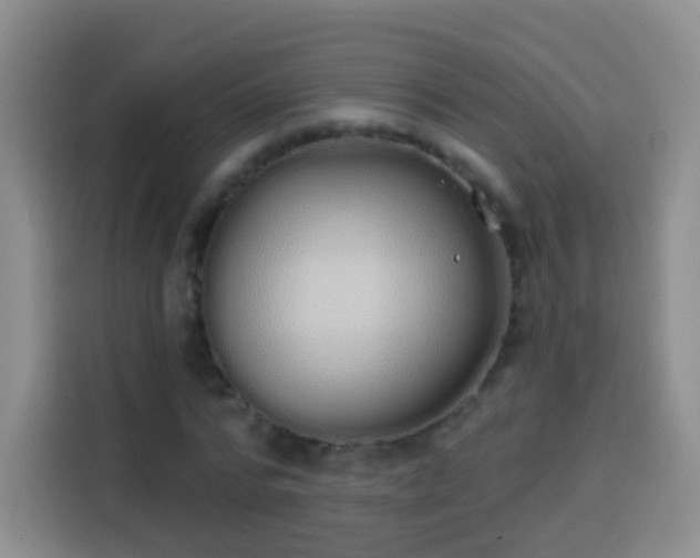 X0000113940776200910021302