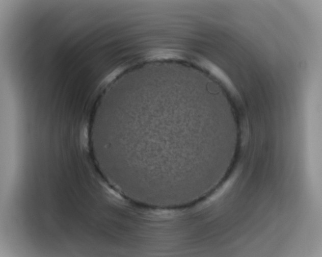 X0000113940777200910021301