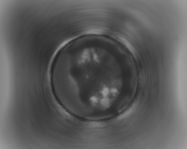 X0000113940779200910021301