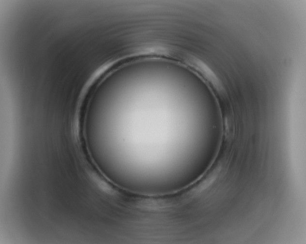 X0000113940780200910021301