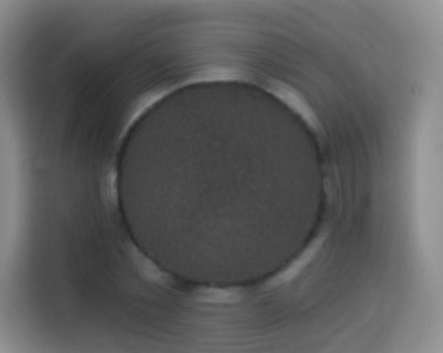 X0000113940781200910021301