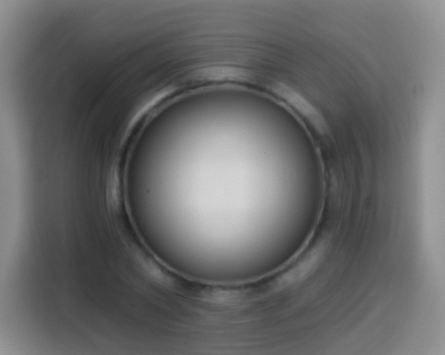 X0000113940782200910021301