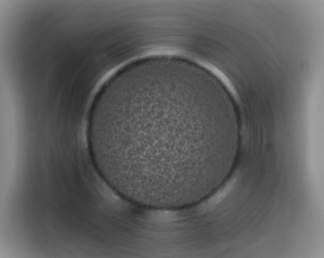 X0000113940783200910021301