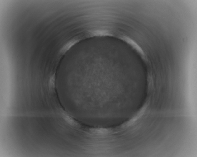 X0000113940785200910021301