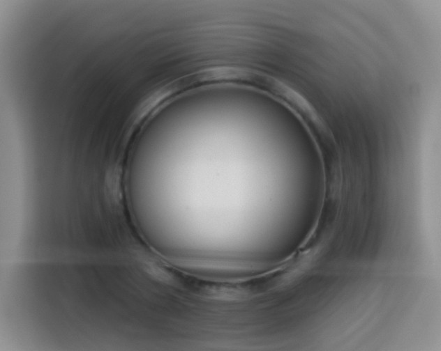 X0000113940786200910021301