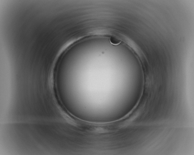 X0000113940787200910021301