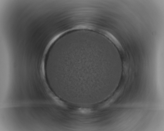 X0000113940788200910021301