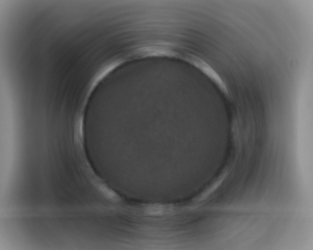 X0000113940790200910021301