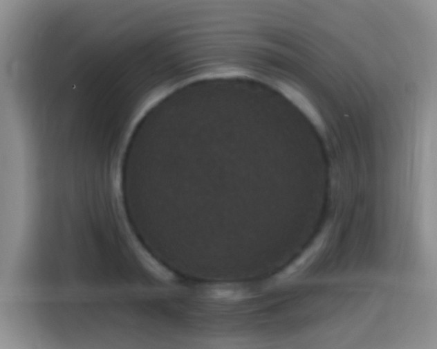 X0000113940797200910021301