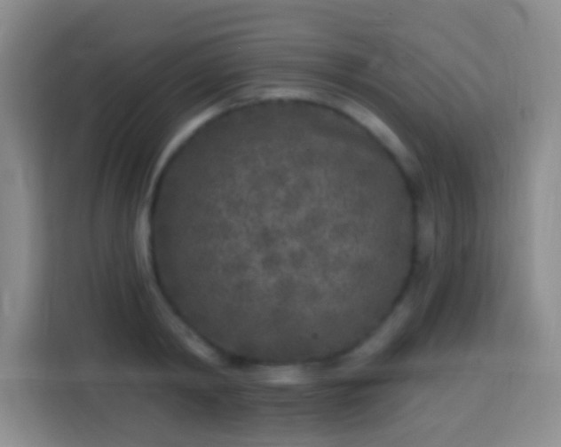 X0000113940798200910021301