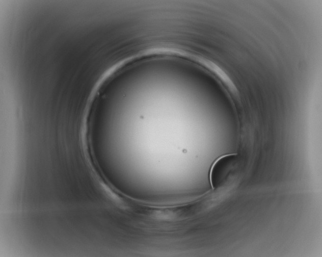 X0000113940799200910021301