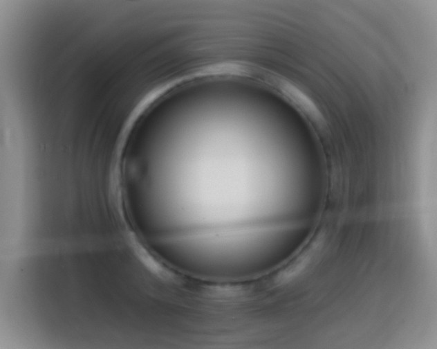 X0000113940800200910021301