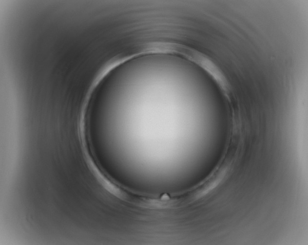 X0000113940803200910021301