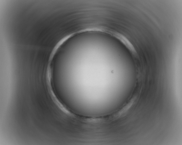 X0000113940804200910021301