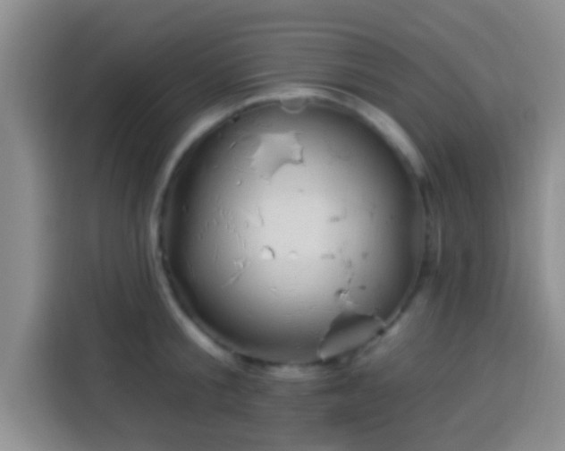 X0000113940805200910021301