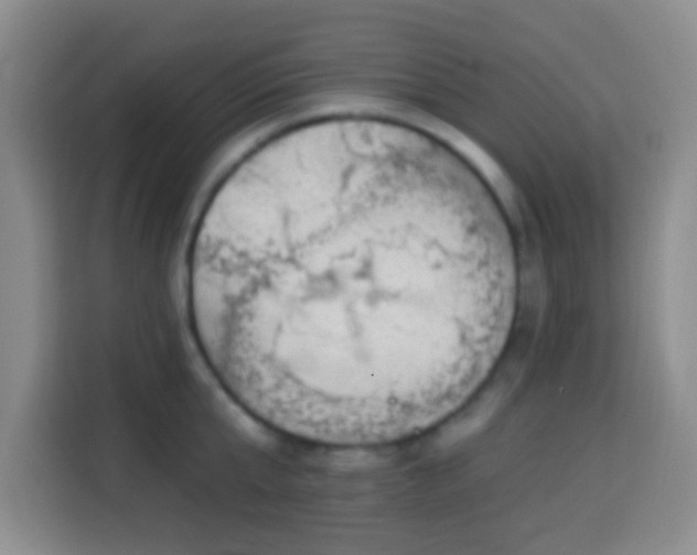 X0000113940807200910021301