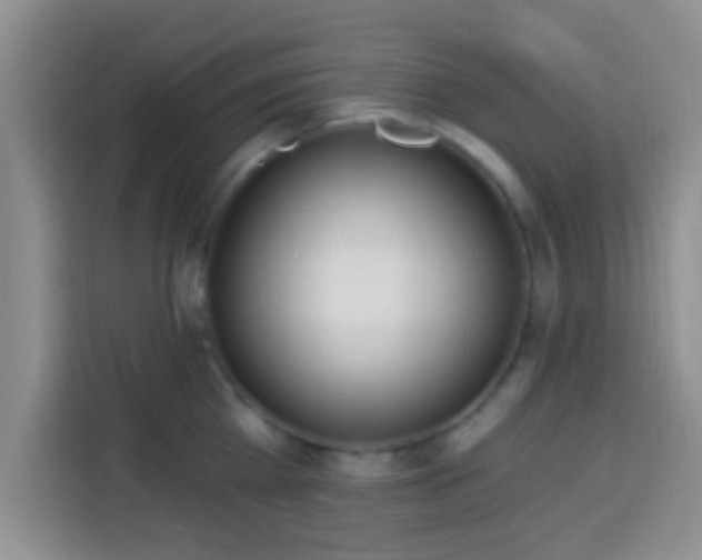 X0000113940809200910021301