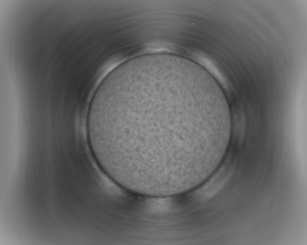 X0000113940810200910021301