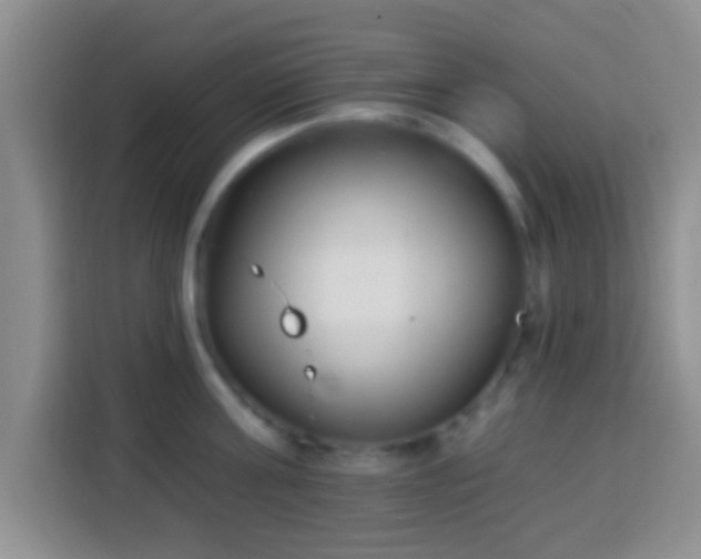 X0000113940811200910021301