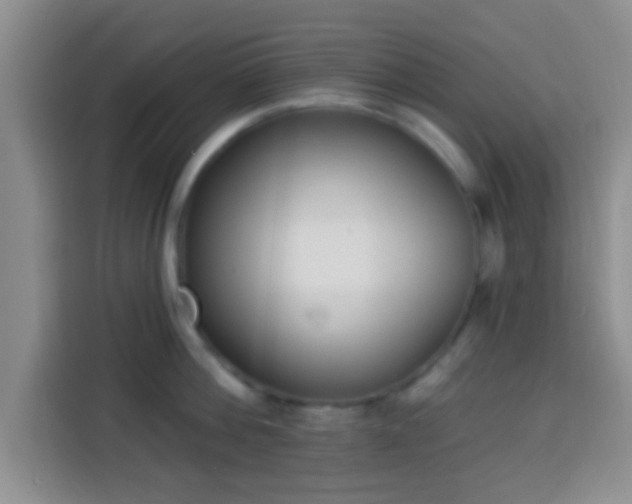 X0000113940812200910021301