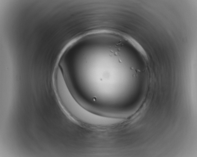 X0000113940813200910021301