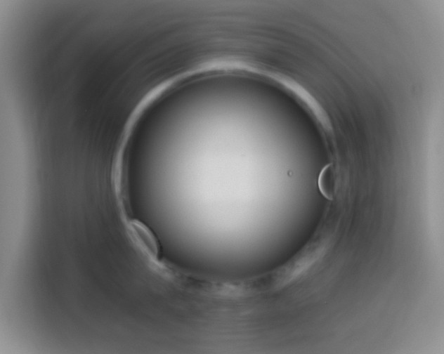 X0000113940815200910021301