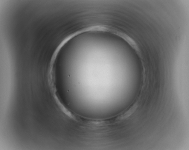 X0000113940816200910021301