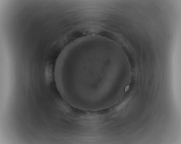 X0000113940818200910021300