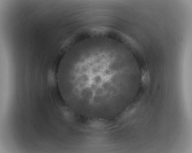 X0000113940819200910021300