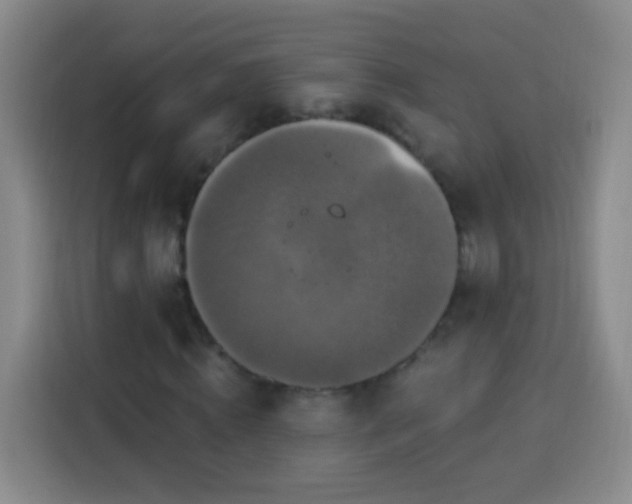 X0000113940820200910021300