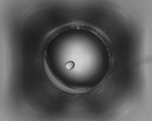 X0000113940822200910021300