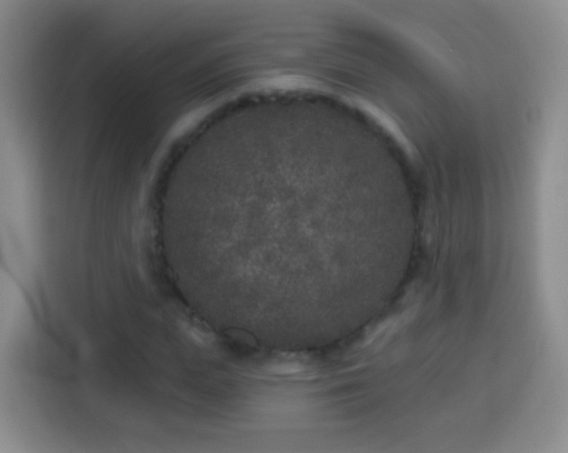 X0000113940823200910021300