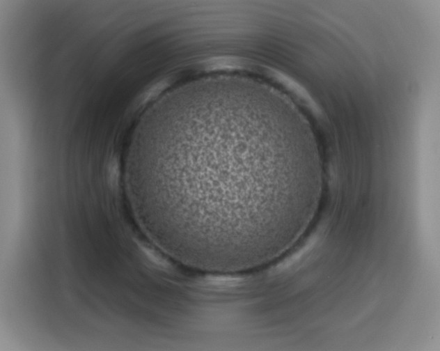 X0000113940825200910021300